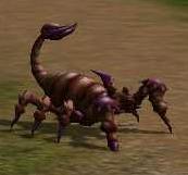 lvl39_st2_Kral_stiru.jpg